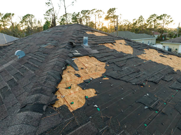 Professional Roofing Service in Watertown, FL