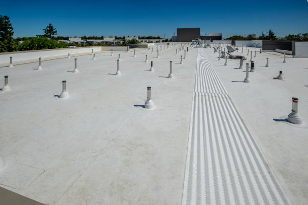 Best Roof Insulation Installation  in Watertown, FL
